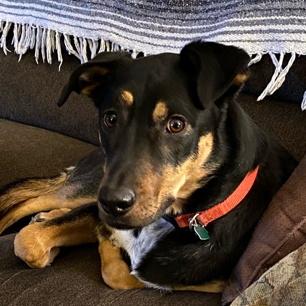 Meet your Posher, Rhonda